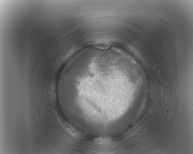 X0000066950354200604071944