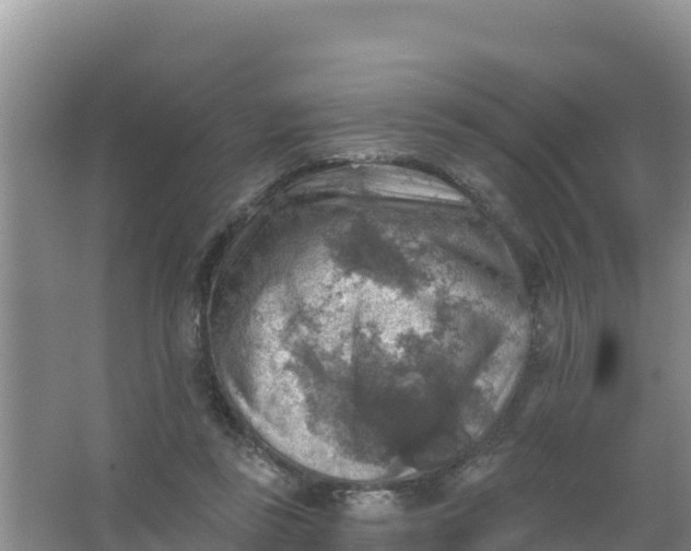 X0000066950355200604071944