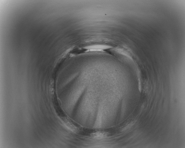 X0000066950356200604071944