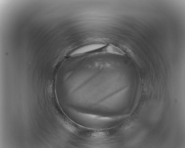 X0000066950357200604071944