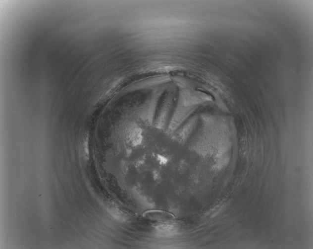 X0000066950358200604071944