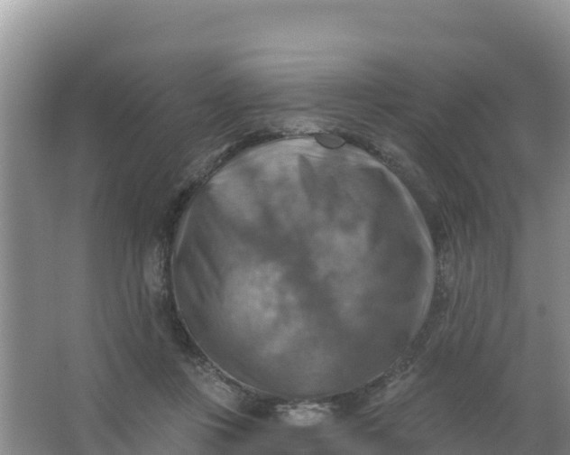 X0000066950359200604071944