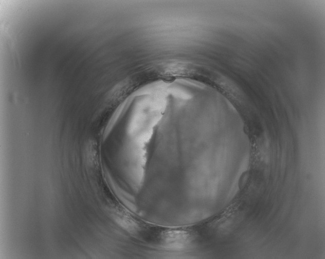 X0000066950361200604071944