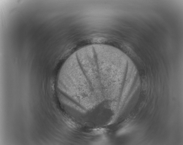 X0000066950363200604071944