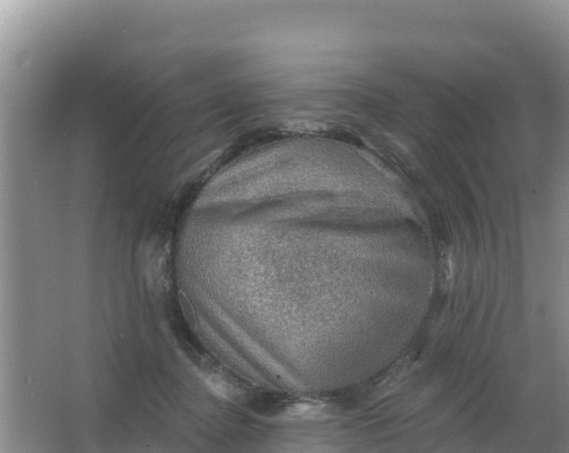 X0000066950364200604071944