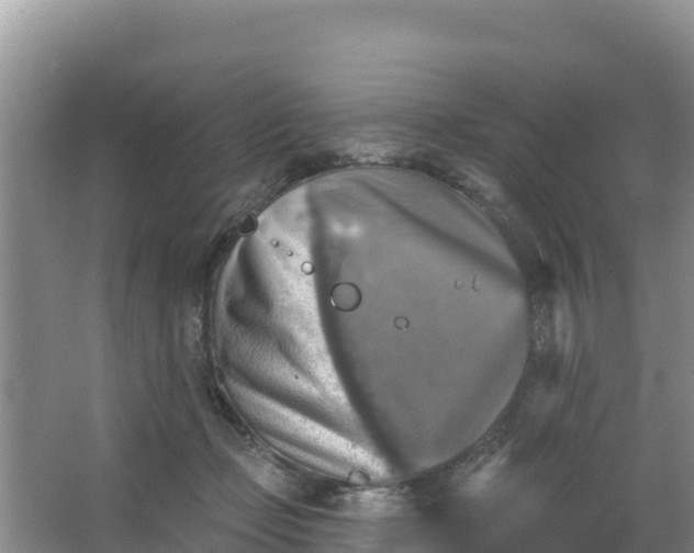 X0000066950365200604071944