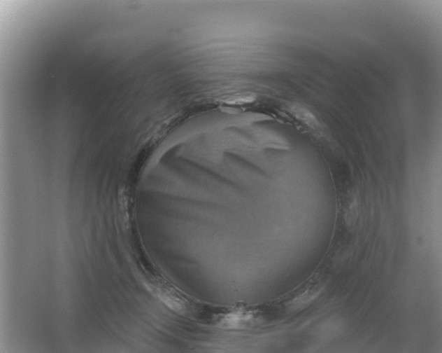 X0000066950366200604071944