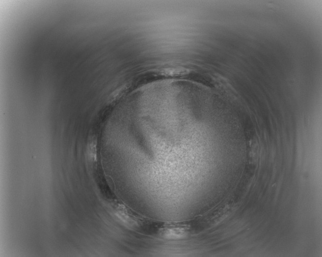 X0000066950368200604071944