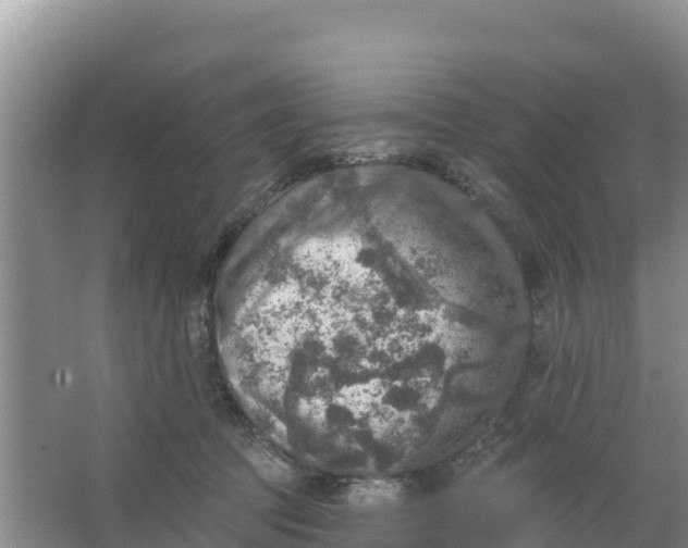 X0000066950369200604071944