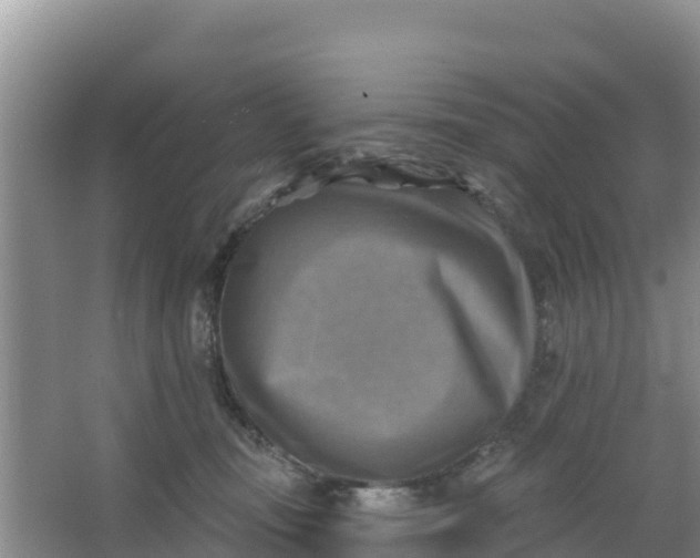 X0000066950371200604071944