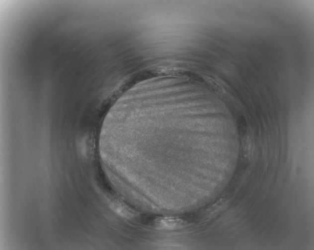 X0000066950372200604071944