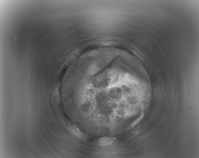 X0000066950373200604071944