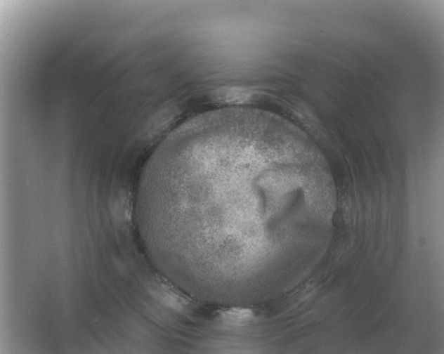 X0000066950374200604071944