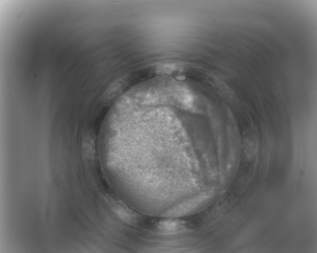 X0000066950375200604071944