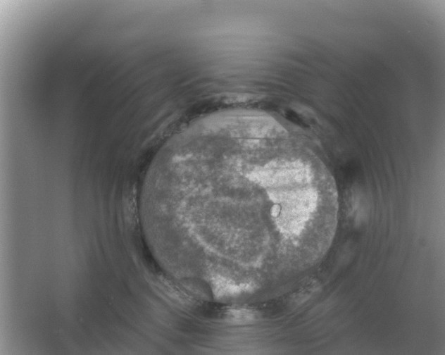 X0000066950376200604071945