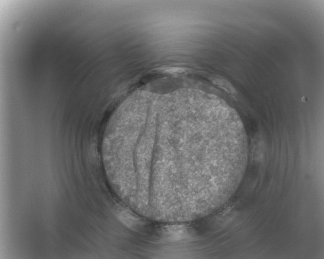 X0000066950377200604071945