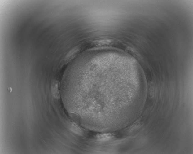 X0000066950378200604071945