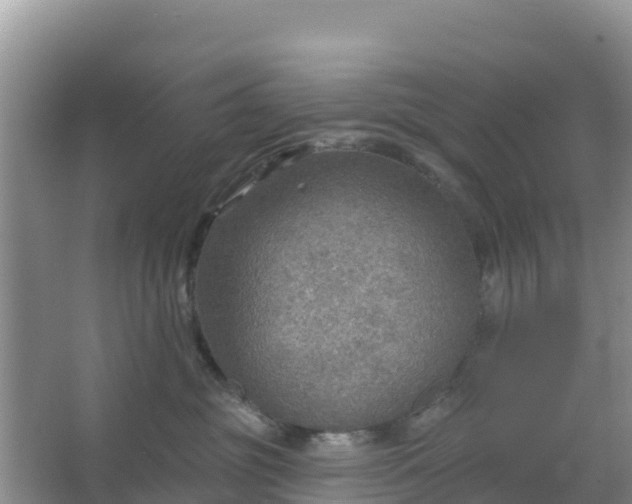 X0000066950381200604071945