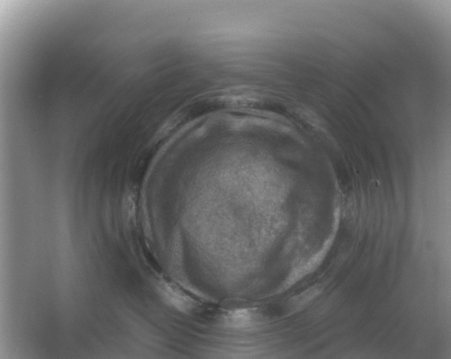 X0000066950382200604071945