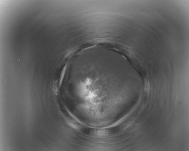 X0000066950383200604071945