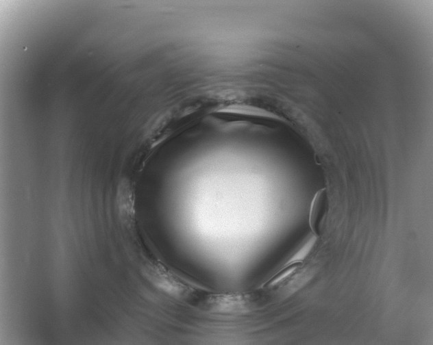 X0000066950384200604071945