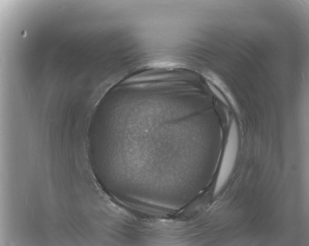 X0000066950385200604071944