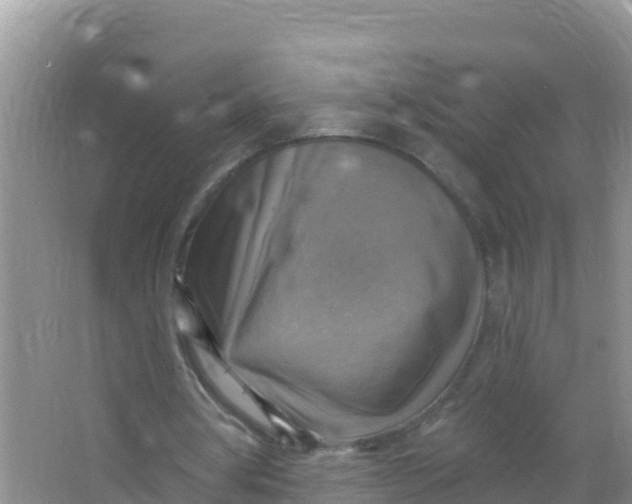 X0000066950386200604071944