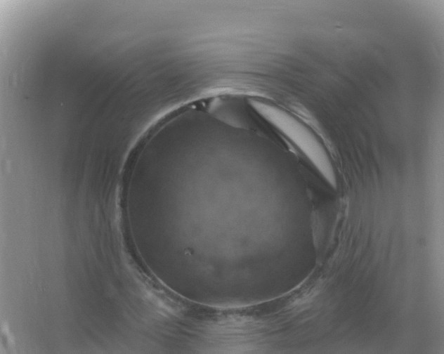 X0000066950387200604071944