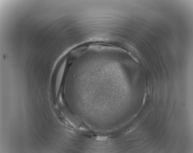 X0000066950388200604071944