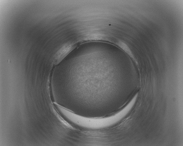 X0000066950389200604071944