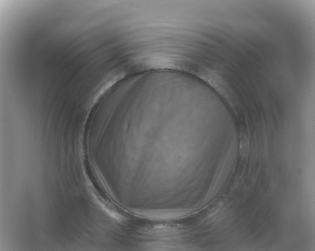 X0000066950390200604071944