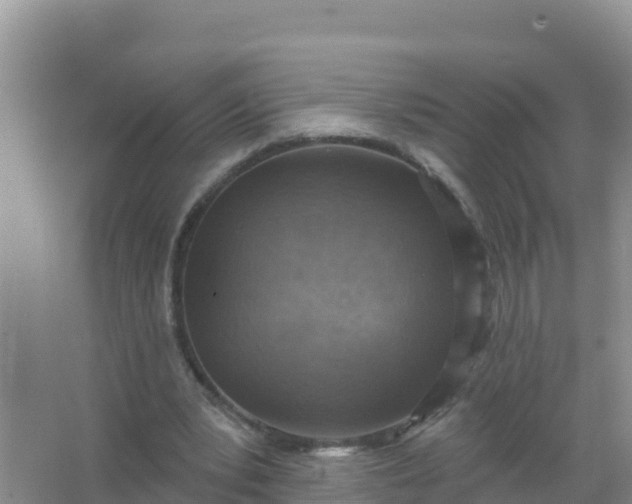 X0000066950391200604071944