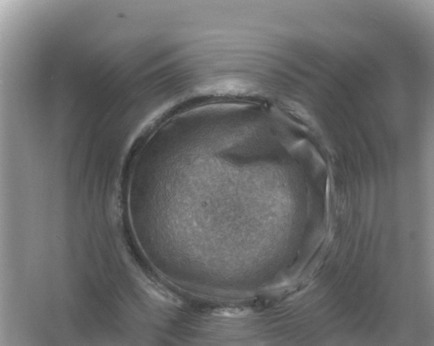 X0000066950392200604071944