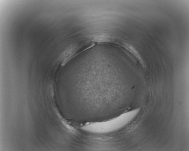 X0000066950393200604071944