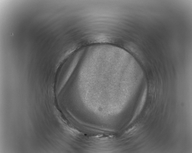 X0000066950394200604071944