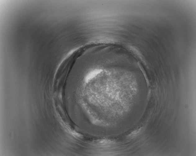 X0000066950395200604071944