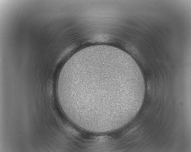 X0000066950396200604071944