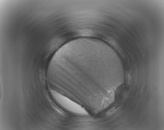 X0000066950397200604071944