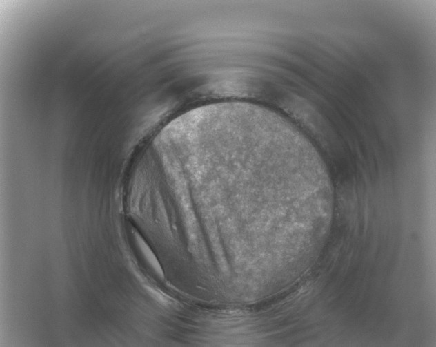 X0000066950398200604071944