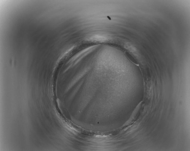 X0000066950399200604071944