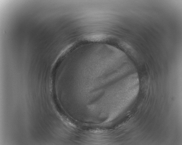 X0000066950400200604071944