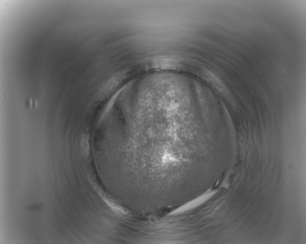 X0000066950401200604071944