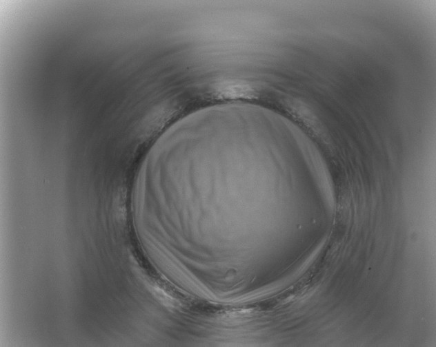 X0000066950402200604071944