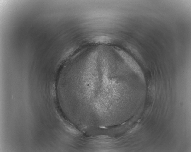 X0000066950403200604071944