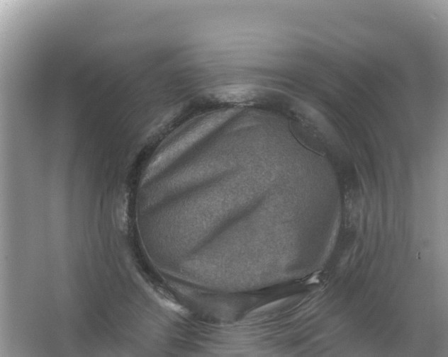 X0000066950404200604071944