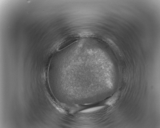 X0000066950405200604071943