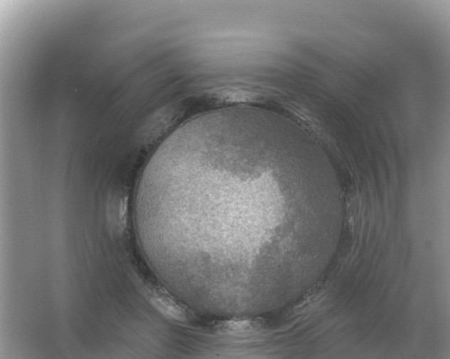 X0000066950406200604071943