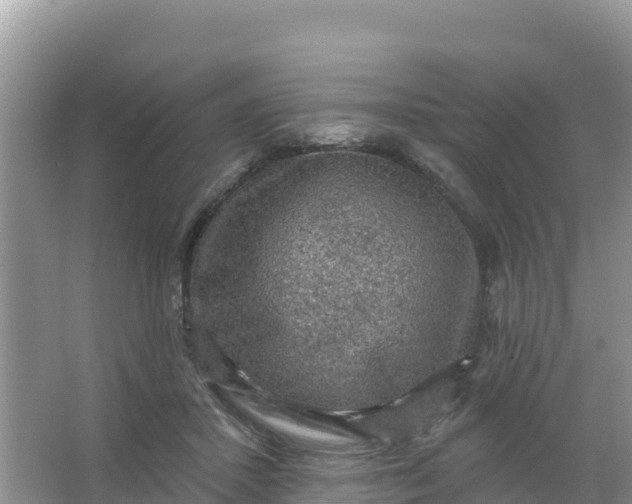 X0000066950407200604071943