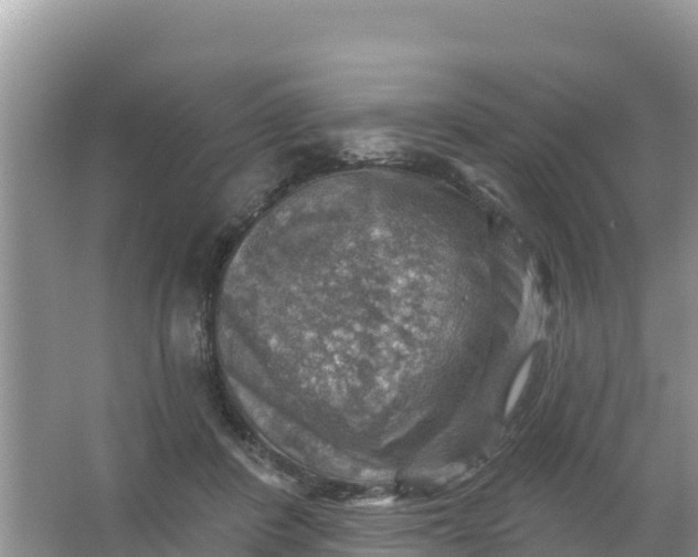 X0000066950408200604071943