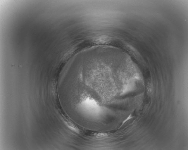 X0000066950409200604071943